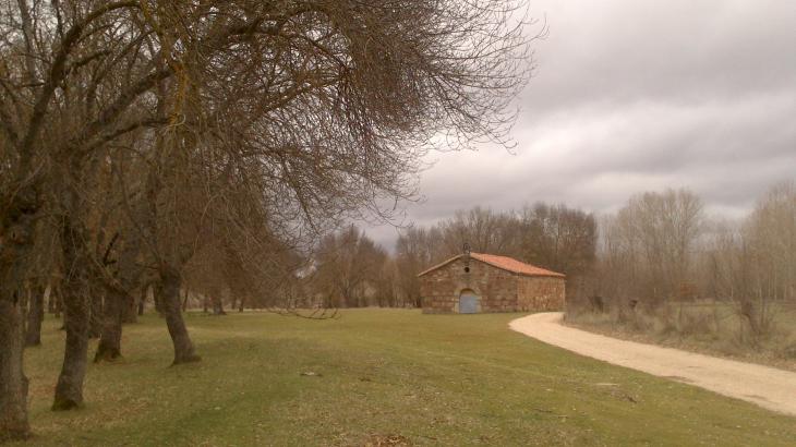  Romería en la Ermita y el Soto de Villavieja.